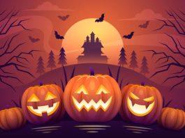 Những sự thật thú vị về Halloween (Nguồn: Internet)