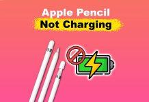 Cách sửa lỗi bút Apple pencil 2 không sạc được (Ảnh: Internet)