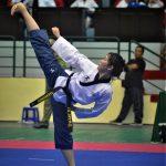 Môn võ Taekwondo (Ảnh:Internet)