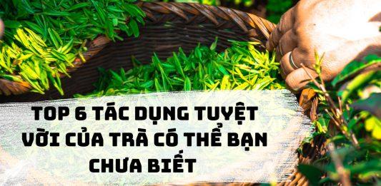 Top 6 tác dụng tuyệt vời của trà có thể bạn chưa biết (Nguồn: Internet)