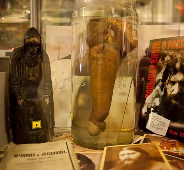 Mẫu dương vật được cho là của Rasputin trong bảo tàng tại Nga (Ảnh: Internet)