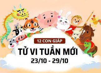 Tử vi tuần mới 12 con giáp 23-29/10: TOP 3 con giáp giàu có, đào hoa nhất