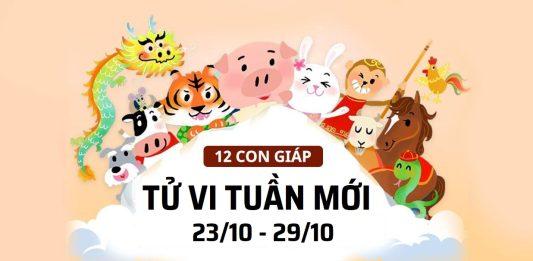 Tử vi tuần mới 12 con giáp 23-29/10: TOP 3 con giáp giàu có, đào hoa nhất