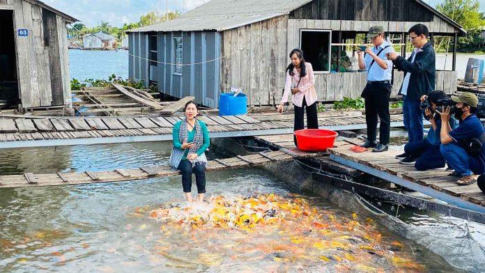 Bè nuôi cá tại Cồn Sơn. Ảnh:internet