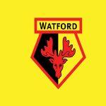CLB Watford (Ảnh:Internet)