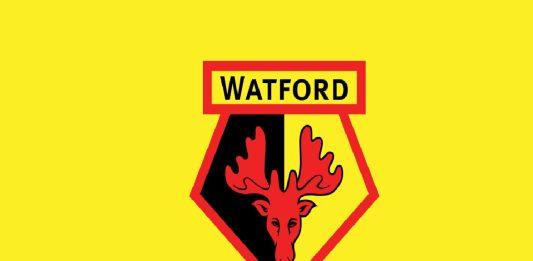 CLB Watford (Ảnh:Internet)