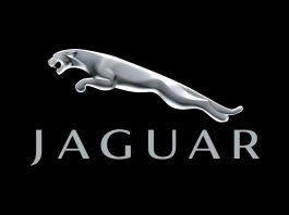 Hãng xe Jaguar: Hành trình qua thời gian của thương hiệu sang trọng và đẳng cấp Hãng xe Jaguar (Ảnh:Internet)