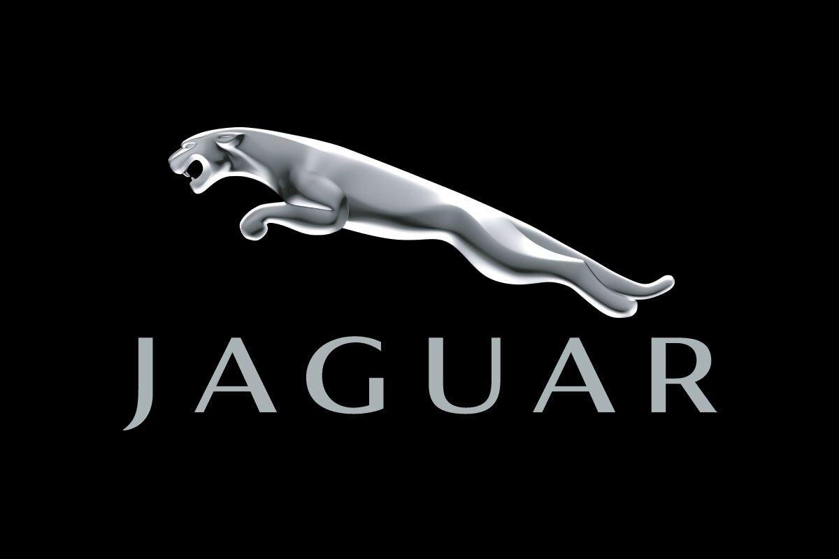 Hãng xe Jaguar (Ảnh: Internet)