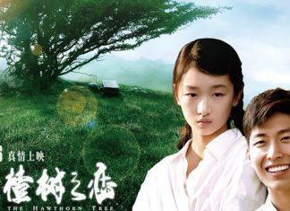 Top 5 Bộ Phim Điện Ảnh Trung Quốc Lấy Đi Nhiều Nước Mắt Của Người Xem