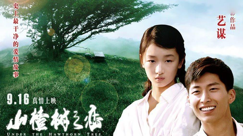 Poster phim "Chuyện tình cây táo gai" (Nguồn Internet)