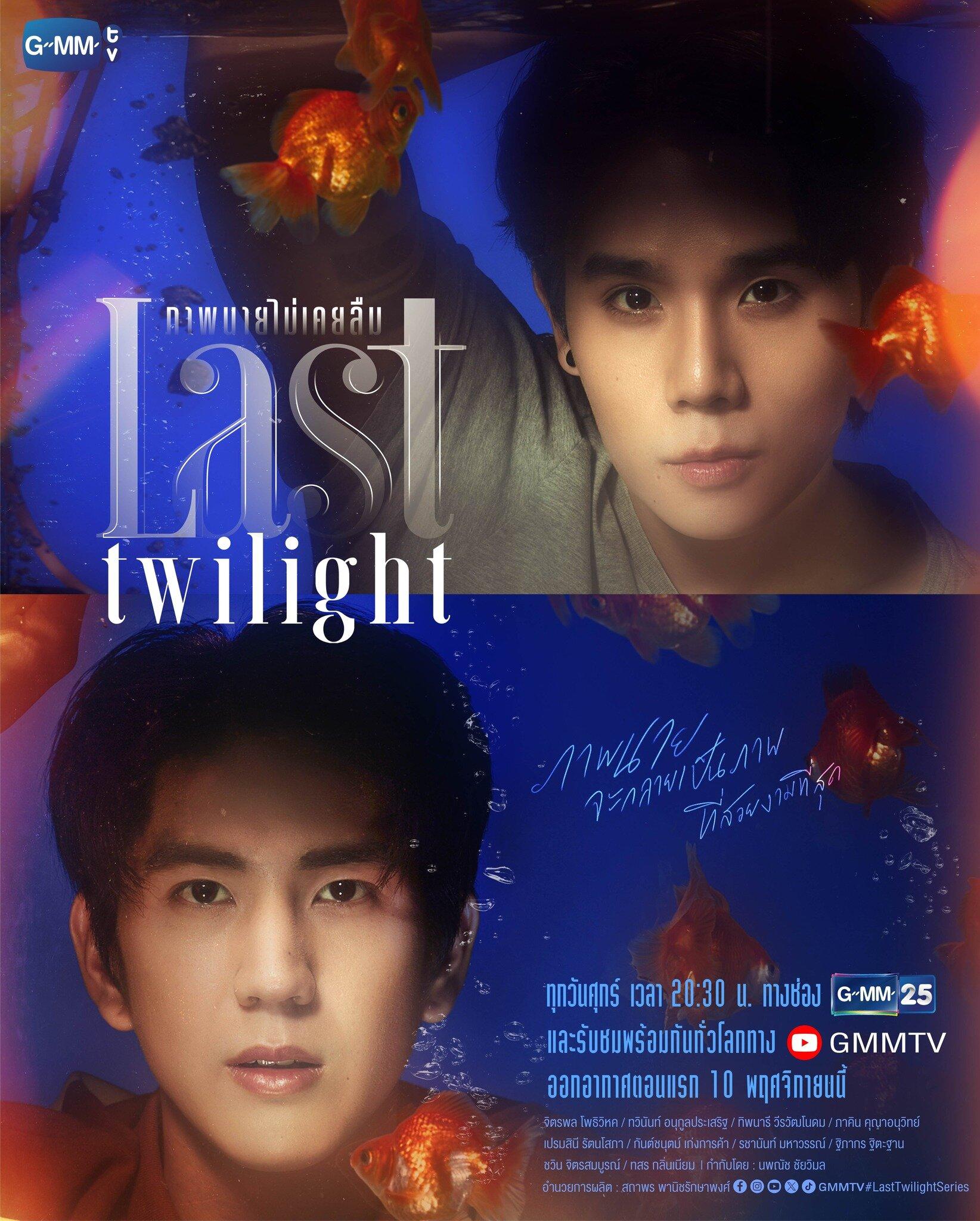 Poster phim Last Twilight