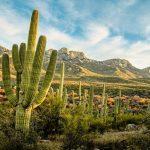 Sahara là sa mạc nổi tiếng nhất thế giới (Ảnh: Internet)