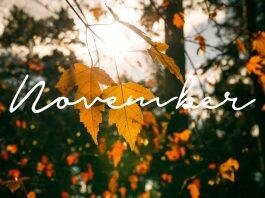 200+ bài thơ chào tháng 11, câu nói hay về tháng 11 cảm xúc nhất