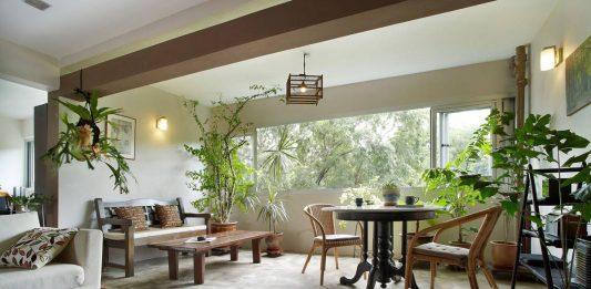 Phong cách thiết kế nội thất Eco: Sự hòa hợp giữa thiết kế và bảo vệ môi trường (ảnh: Internet)