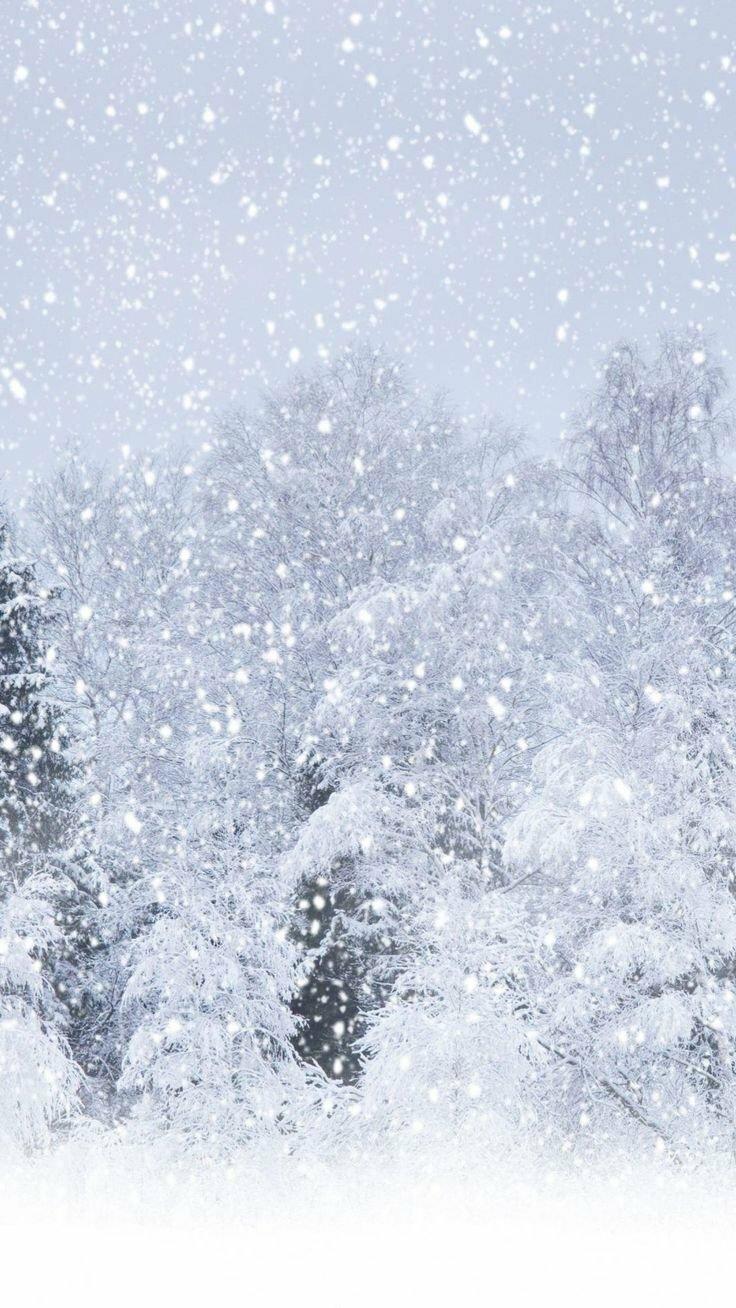 Tổng hợp những hình nền mùa đông, Giáng sinh đẹp nhất ảnh hình nền điện thoại Giáng sinh hình nền hình nền mùa đông hình nền mùa đông giáng sinh laptop Mùa đông Noel tuyết