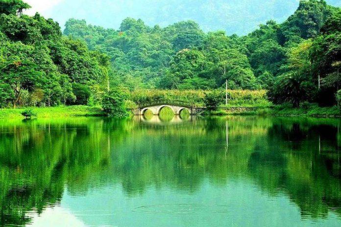 Vườn quốc gia Cúc Phương, Ninh Bình (ảnh: Internet)