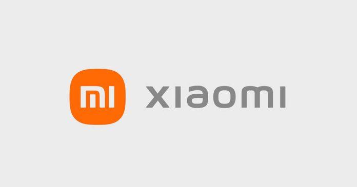 Xiaomi có nghĩa là gạo nhỏ (Ảnh: Internet)