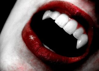 Có những người có sở thích ăn uống kì lạ đến mức khiến người khác rùng mình (Ảnh: Internet)