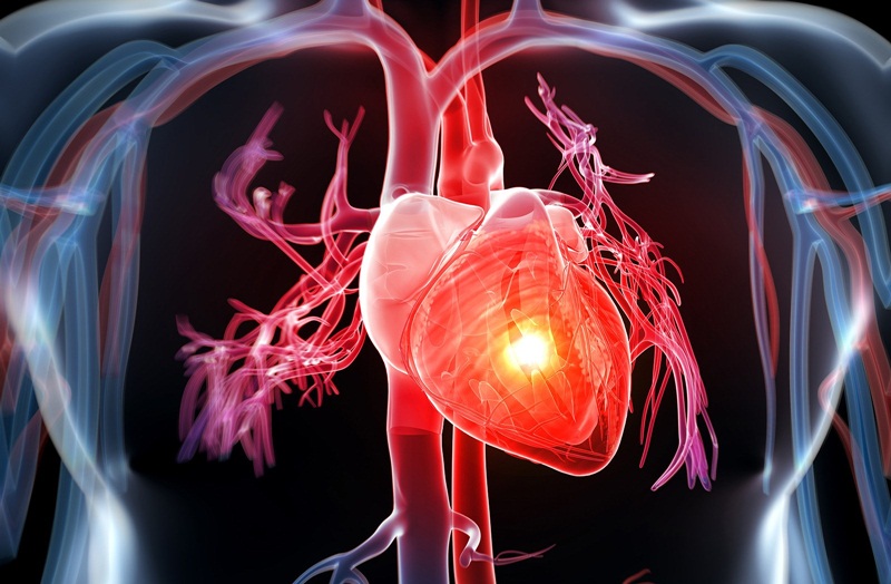 Gừng giảm nguy cơ mắc các bệnh về tim mạch (Ảnh: Internet)
