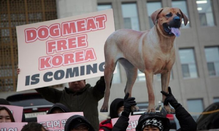 Các thành viên của các nhóm hoạt động bảo vệ động vật giương biểu ngữ tại quốc hội ở Seoul để đánh dấu việc thông qua luật cấm sản xuất và bán thịt chó. (Ảnh: Internet)