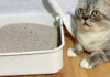 Cát vệ sinh cho mèo (Ảnh: Internet)