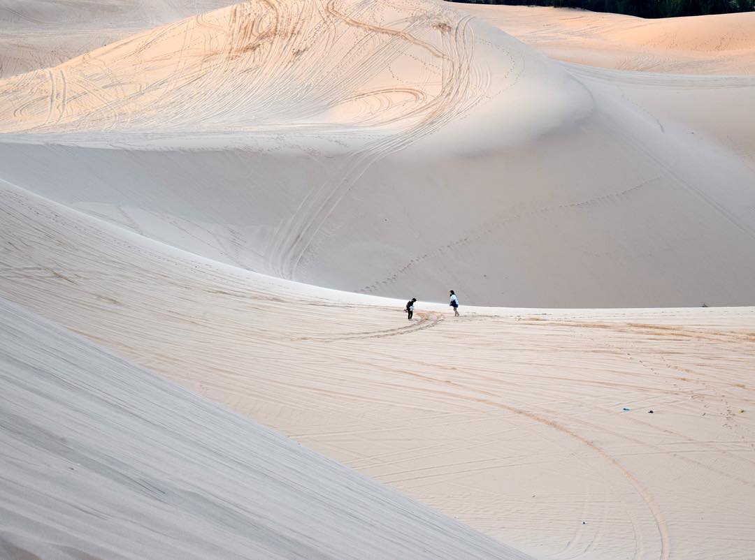 Đồi cát Bàu Trắng được mệnh danh là tiểu Sahara thu nhỏ tại Việt Nam (Ảnh: Internet)