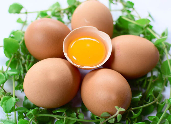Trứng gà - Nguyên liệu không cần bàn cãi về dinh dưỡng