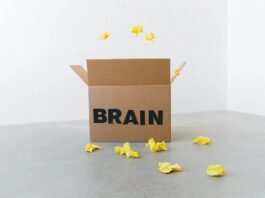 Giữ gìn sức khỏe não bộ với 7 bí quyết đơn giản nhưng hiệu quả ngay tại nhà