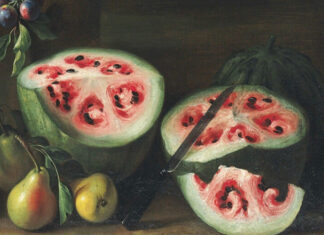 Hình dạng của chúng đã thay đổi rất nhiều! (Ảnh: Internet)