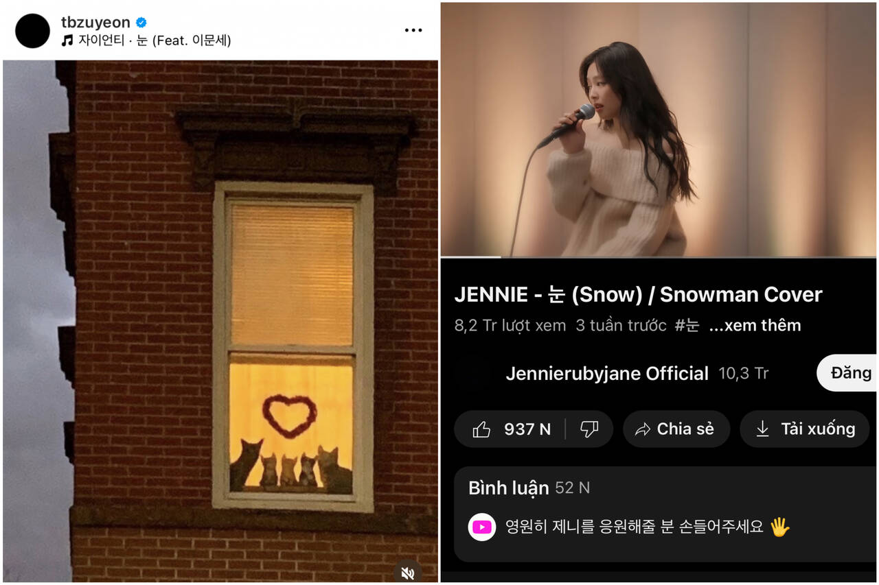 Ju Yeon đã đăng ảnh gia đình mèo, con mèo được cho là nhân vật đại diện cho cả Jennie và Ju Yeon khiến netizen cho rằng cả hai đang ẩn ý với nhau. (Ảnh: Internet)