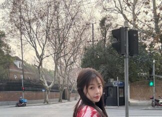 Ngu Thư Hân càng trang điểm nhẹ nhàng càng xinh đẹp (Ảnh: Internet)