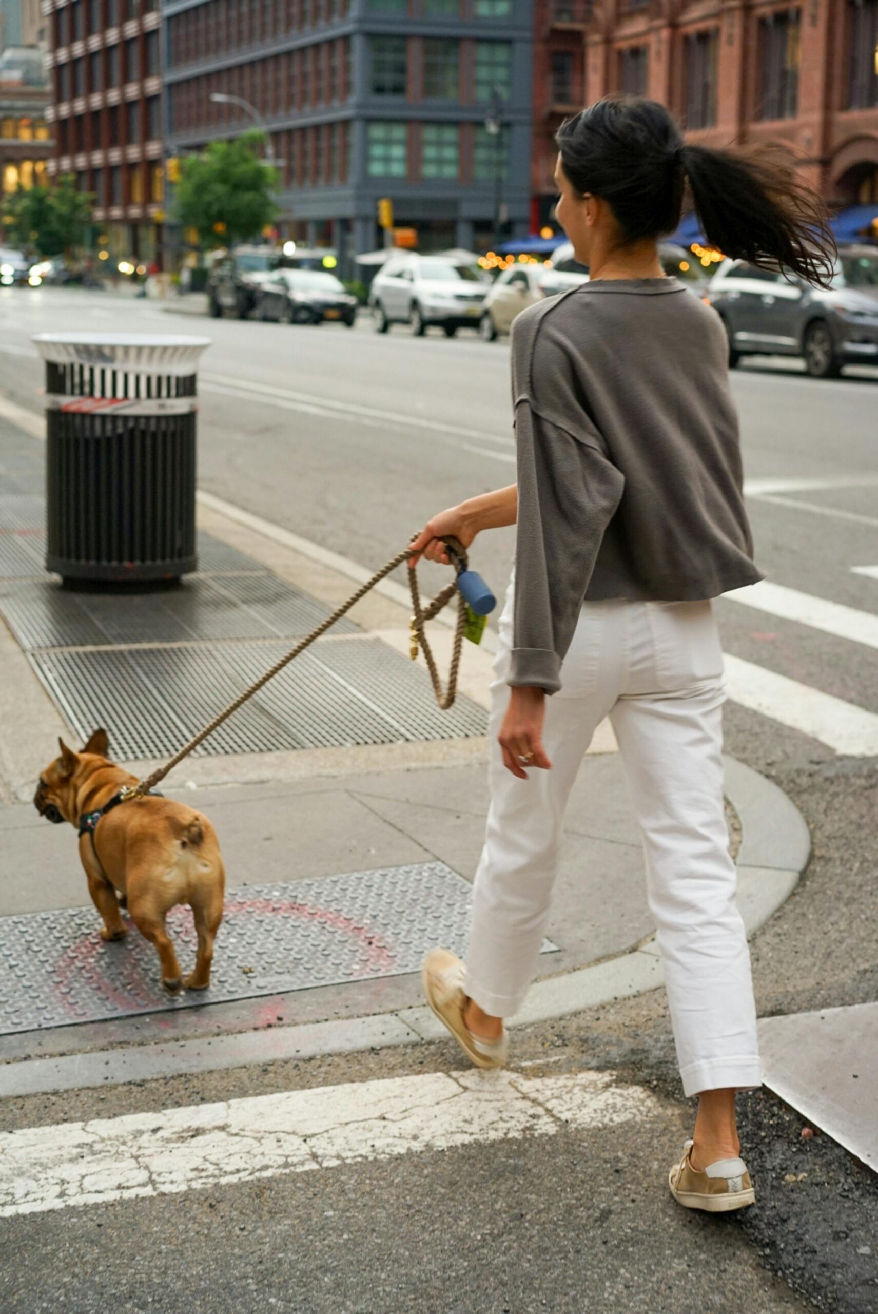 Dắt thú cưng đi dạo không chỉ giúp bạn gắn kết với chúng và mang lại cho chúng nhiều sự kích thích về tinh thần và thể chất mà còn giúp bạn đi bộ nhiều hơn. (Nguồn: