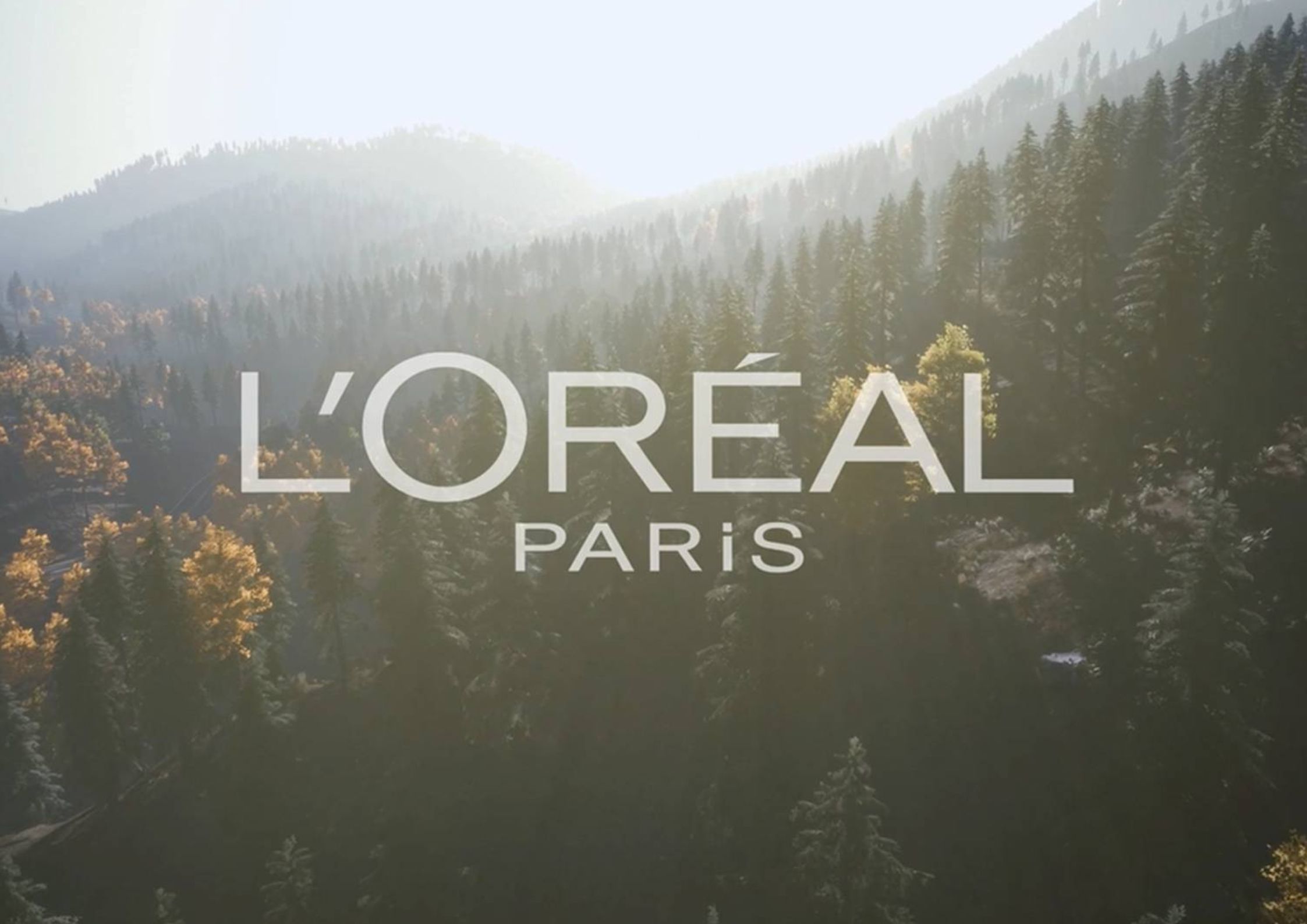 Đôi nét về thương hiệu L'Oreal Paris (Ảnh: Internet).