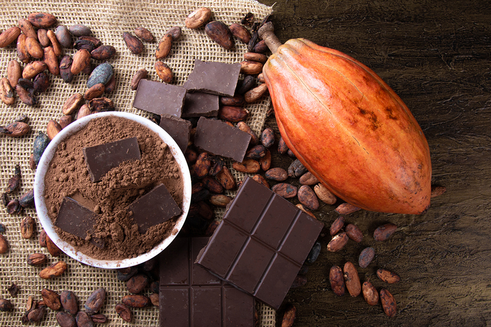 Người xưa đã sử dụng hạt cacao làm đồ uống từ rất lâu (Ảnh: Internet)