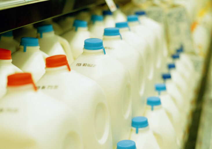 10 câu chuyện kì lạ về sữa mà hầu như không ai biết ấn tượng BlogAnChoi câu chuyện khám phá khoa học kì lạ nghe nhạc nghiên cứu nổi tiếng phù thủy sữa thịt bò thông tin thú vj thức ăn thực phẩm tiêu hóa Top 10