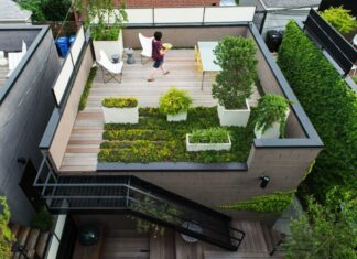Thiết kế vườn trên mái - xu hướng thiết kế nhà trong tương lai (ảnh: Internet)
