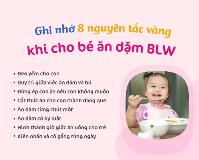 Lưu ý cho trẻ ăn dặm đúng cách (ăn dặm BLW, kiểu Nhật) (ảnh: Internet)