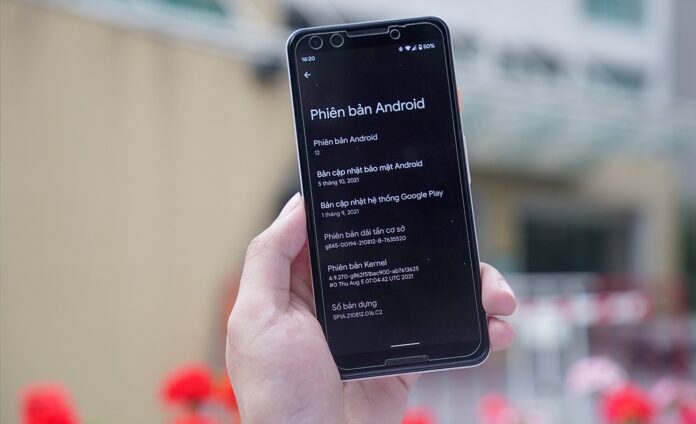 Phiên bản Android 12 là phiên bản cuối cùng của Pixel 3 (Ảnh: Internet)