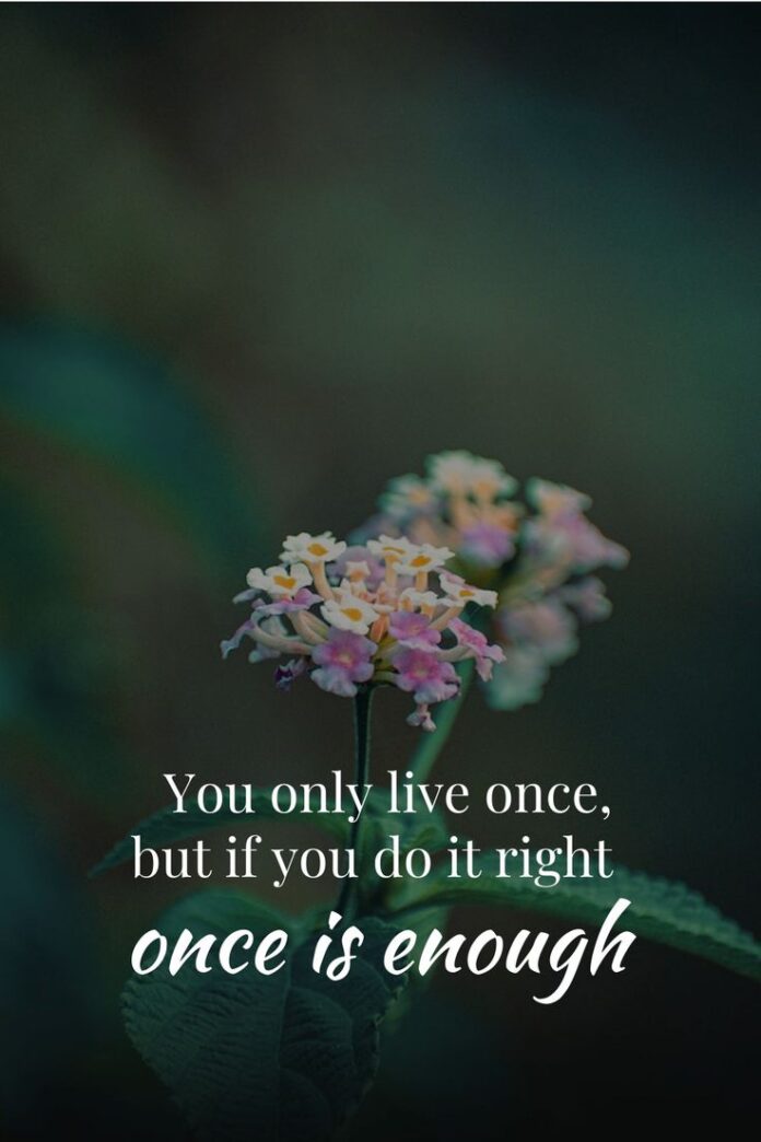 Bạn chỉ sống một lần nhưng nếu bạn làm điều đó đúng một lần là đủ.(Nguồn: Internet)
