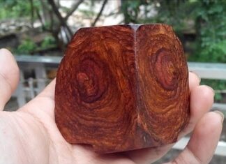 Gỗ sưa - cực phẩm gỗ quyến rũ, mùi thoang thoảng như gỗ hương và có chất lượng siêu tốt (ảnh: Internet)