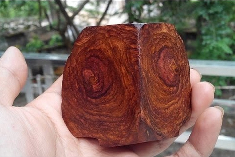 Gỗ sưa - "cực phẩm" gỗ quyến rũ, mùi thoang thoảng như gỗ hương và có chất lượng siêu tốt (ảnh: Internet)
