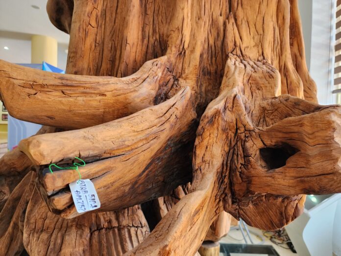 Gỗ sưa - "cực phẩm" gỗ quyến rũ, mùi thoang thoảng như gỗ hương và có chất lượng siêu tốt (ảnh: Internet)