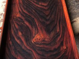 Gỗ trắc - loại gỗ tốt, có tính thẩm mỹ cao, chịu được khí hậu nóng và có giá trị kinh tế tốt (ảnh: Internet)