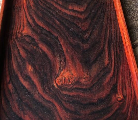 Gỗ trắc - loại gỗ tốt, có tính thẩm mỹ cao, chịu được khí hậu nóng và có giá trị kinh tế tốt (ảnh: Internet)