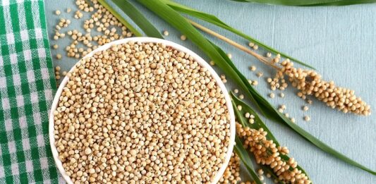 7 loại hạt giàu protein và nhiều lợi ích cho sức khỏe mà bạn chưa biết Hạt cao lương (Ảnh: Internet)
