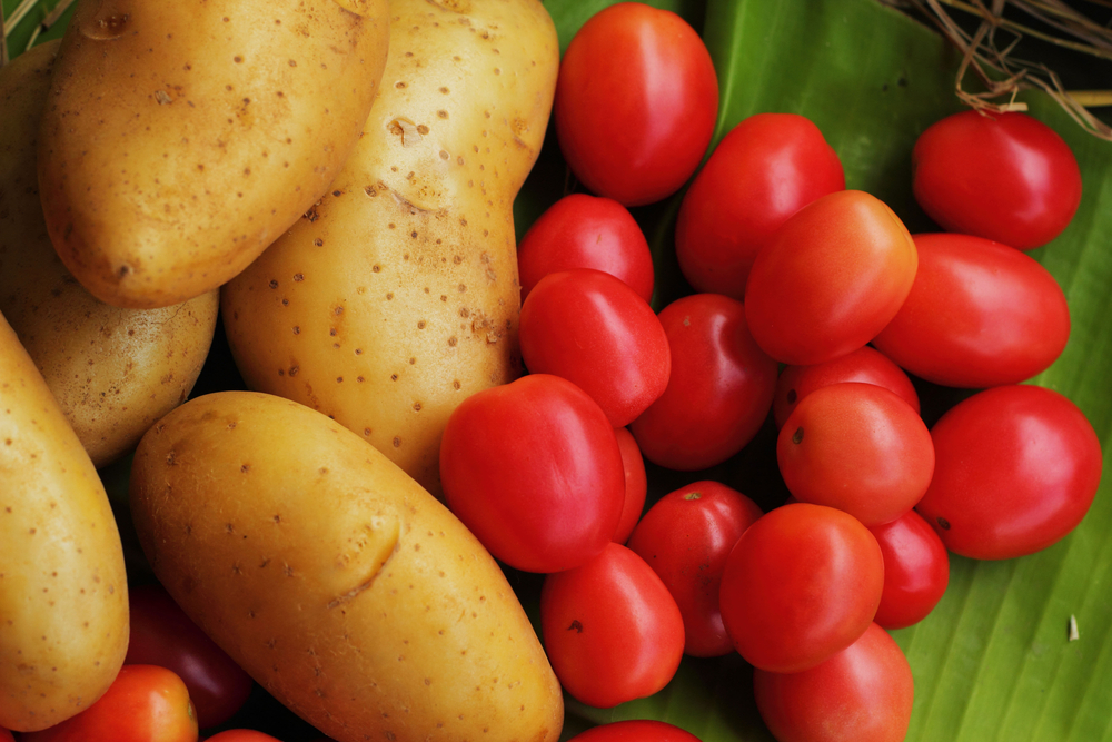 Khoai tây và cà chua còn sống có thể chứa độc tố (Ảnh: Internet)