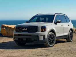 Kia Telluride phiên bản X-Pro (Ảnh: Internet)