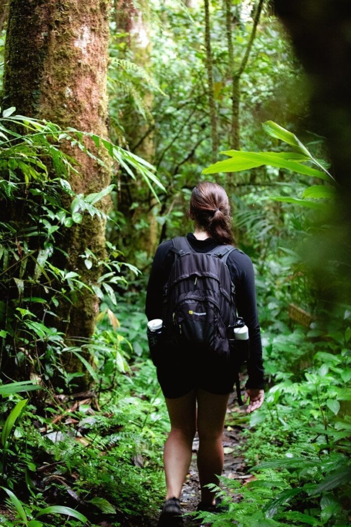 Đi bộ đường dài ở Công viên Quốc gia Kinabalu (Ảnh: Internet)