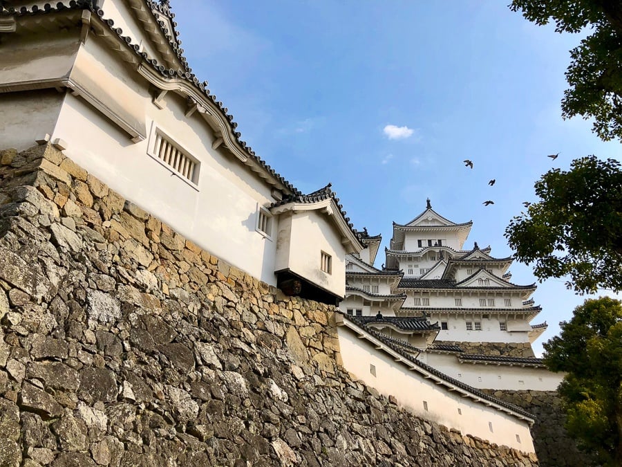 Những chú chim bay trên lâu đài Himeji (Ảnh: Internet)
