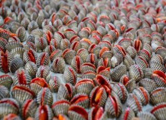 Những món này độc hơn bạn nghĩ đấy (Ảnh: Internet)